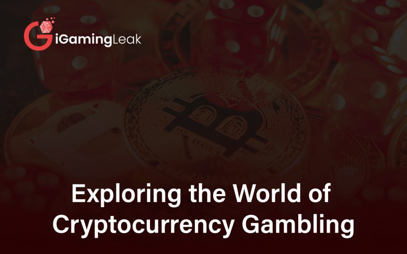 Exploring the World of Cryptocurrency Gambling