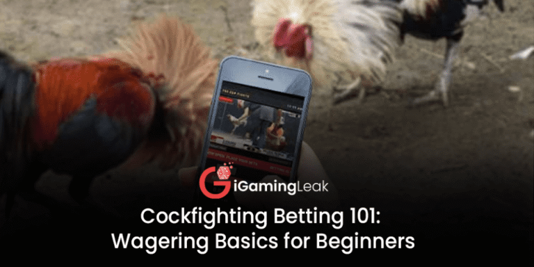 Cockfighting betting